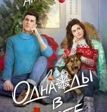 «Однажды в лифте» Анна Шнайдер