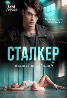 «Сталкер»  Кира Сорока книгу полностью бесплатно «Сталкер»  Кира Сорока читать онлайн полностью